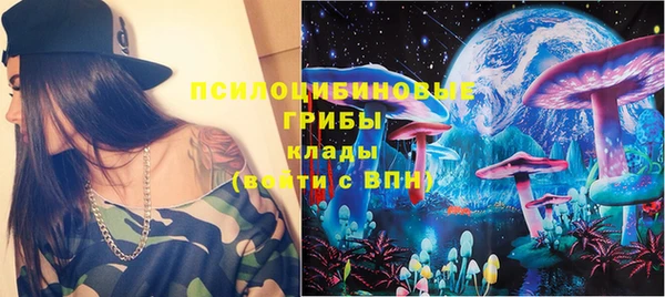 твердый Алзамай