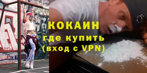 твердый Алзамай